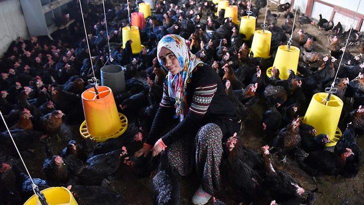 Şehirden sıkılıp köye döndü, şimdi tam 2 bin tavuğu var G2