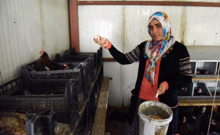 Şehirden sıkılıp köye döndü, şimdi tam 2 bin tavuğu var G3