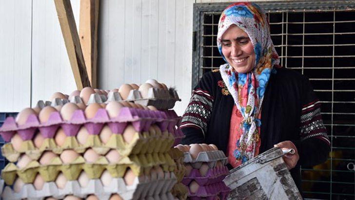 Şehirden sıkılıp köye döndü, şimdi tam 2 bin tavuğu var G5