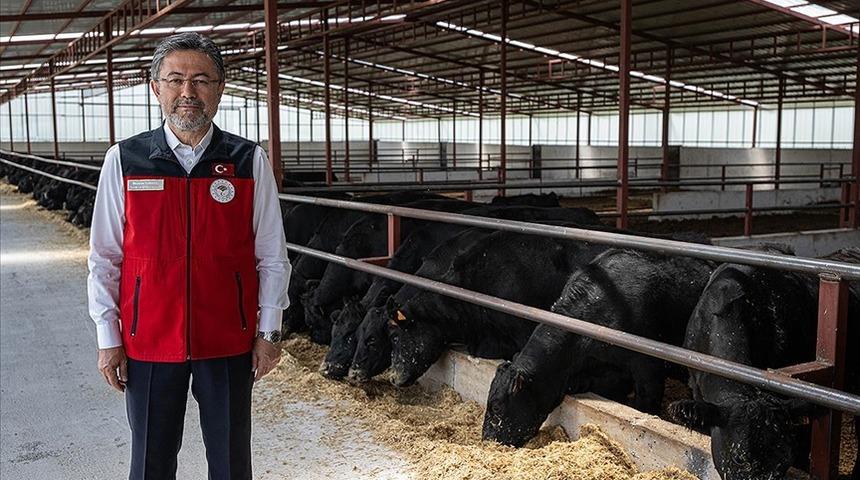 Bakan Yumaklı, hayvan sayılarına ilişkin TÜİK verilerini değerlendirdi! 'Memnuniyet verici bir ilerleme'