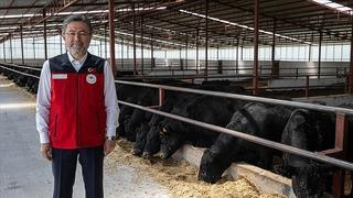 Bakan Yumaklı, hayvan sayılarına ilişkin TÜİK verilerini değerlendirdi! 'Memnuniyet verici bir ilerleme'