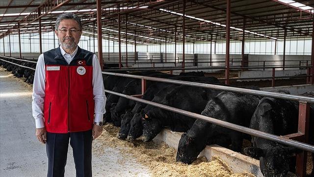 Bakan Yumaklı, hayvan sayılarına ilişkin TÜİK verilerini değerlendirdi! 'Memnuniyet verici bir ilerleme'