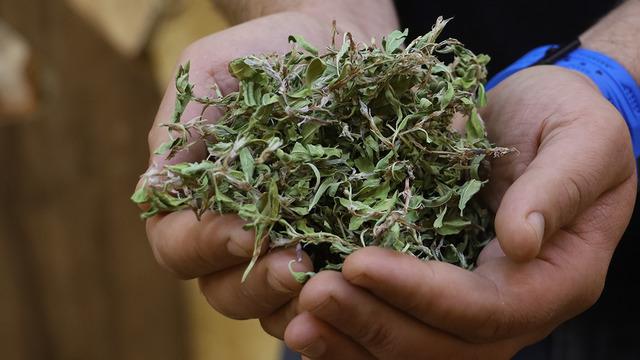 1 kilosundan 10 defa yemek yapılıyor! Senelerce dursa da bozulmuyor, kilosu 800 TL 'Evlerde olmazsa olmaz'