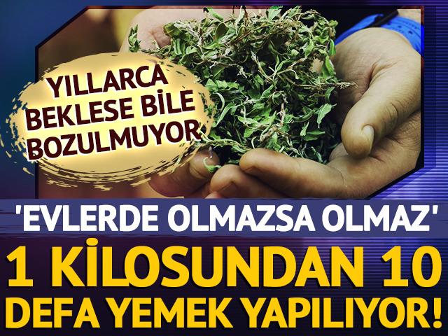 1 kilosundan 10 defa yemek yapılıyor! Senelerce dursa da bozulmuyor