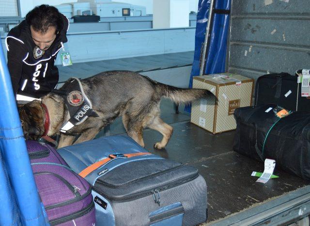 Ordu-Giresun Havalimanında bagajlar Cesi’den soruluyor