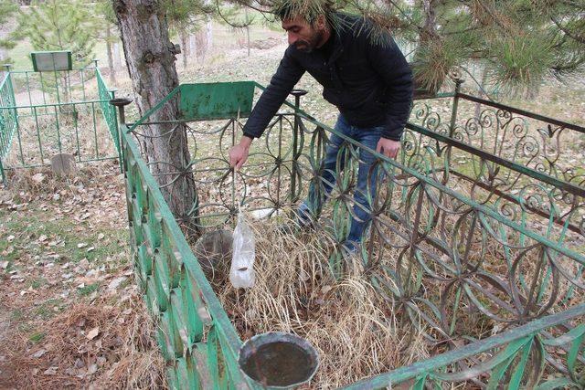 Mezarlığa dadanan sarhoşlar köylüyü canından bezdirdi