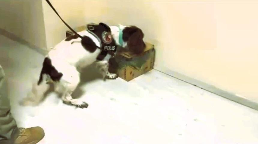 Otobüsle getirdiği 4,5 kilo uyuşturucuyu satamadan yakalandı