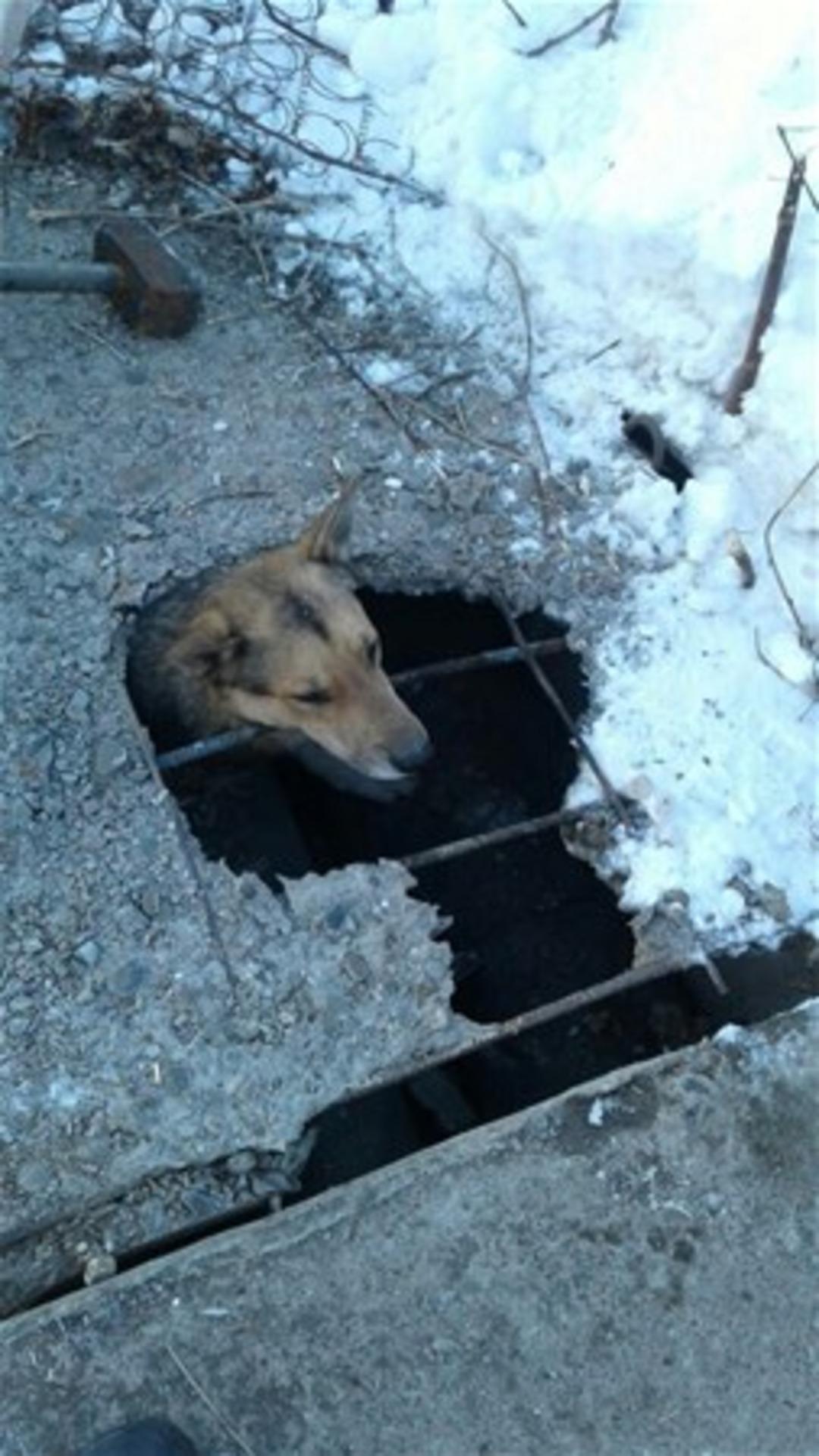 Yer altından ses duyunca koştular