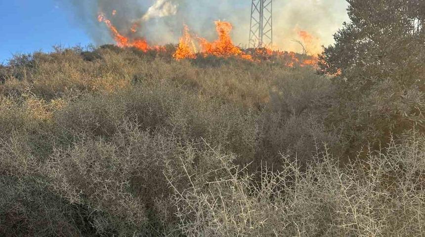 Samandağ’da arazi yangını
