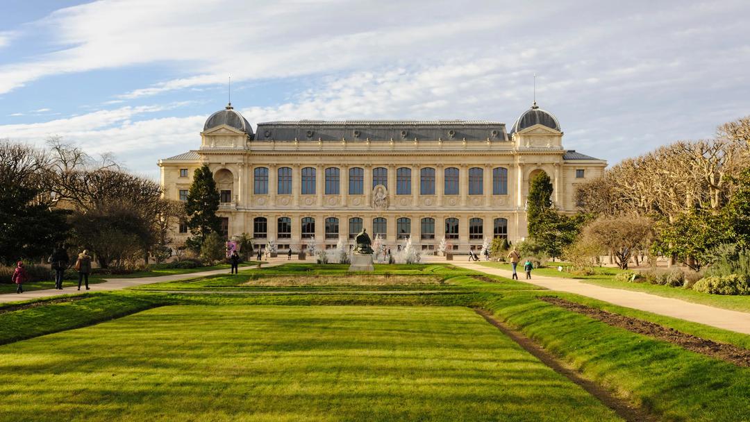&Uuml;nl&uuml; m&uuml;zeden &ccedil;alındılar! Değeri ise dudak u&ccedil;uklattı: "Tesad&uuml;f değildi" 1
