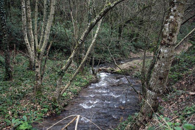 SASKİ tarafından su kaynaklarının karnesi hazırlanıyor 2