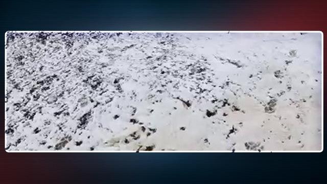 Yaz bitti, sıcaklıklar düştü! Mevsimin ilk kar yağışı Erzurum'da yaşandı... Beyaza büründü