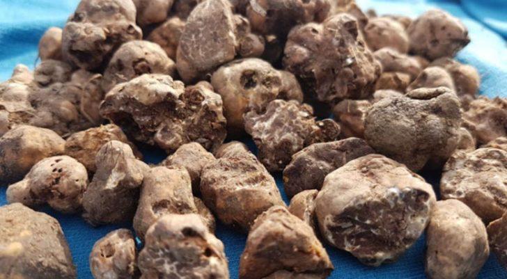 Yurtdışına çıkarmaya çalıştı, 466 bin lira ceza aldı G2