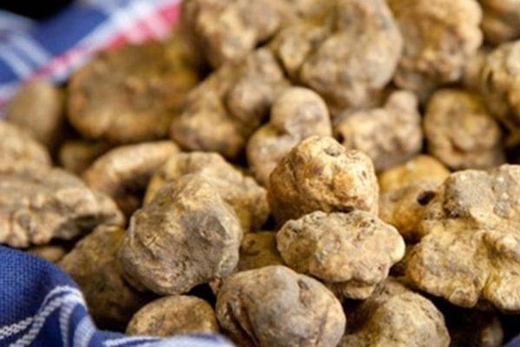 Yurtdışına çıkarmaya çalıştı, 466 bin lira ceza aldı G3