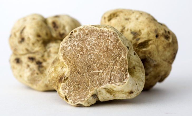 Yurtdışına çıkarmaya çalıştı, 466 bin lira ceza aldı G5