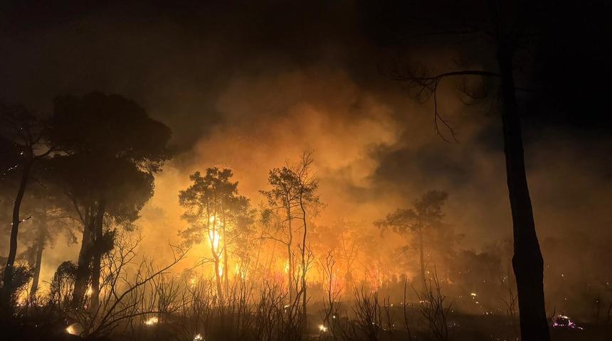 Antalya'nın Aksu ilçesinde orman yangını çıktı