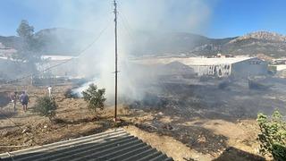 Mersin'de serada çıkan yangın söndürüldü