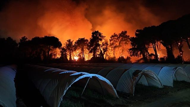 Antalya’da orman yangını büyüyor: 2 otel tahliye edildi