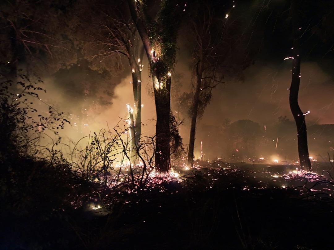 Antalya’da orman yangını büyüyor: 2 otel tahliye edildi 2