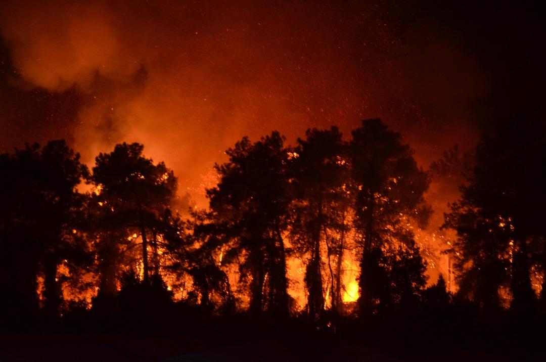 Antalya da orman yangını çıktı! 1 otel tahliye edildi! Hızla müdahale edildi: Antalya Valisi vatandaşları uyardı... 6