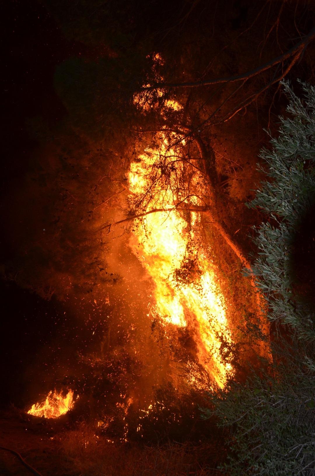 Antalya da orman yangını çıktı! 1 otel tahliye edildi! Hızla müdahale edildi: Antalya Valisi vatandaşları uyardı... 4