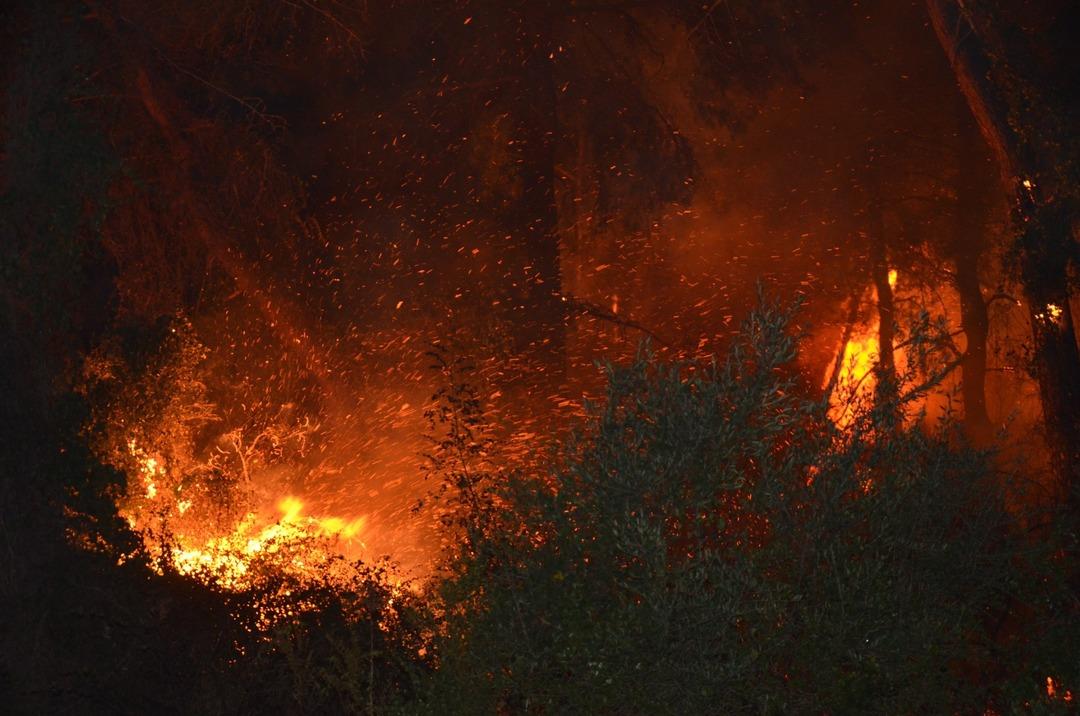 Antalya da orman yangını çıktı! 1 otel tahliye edildi! Hızla müdahale edildi: Antalya Valisi vatandaşları uyardı... 3