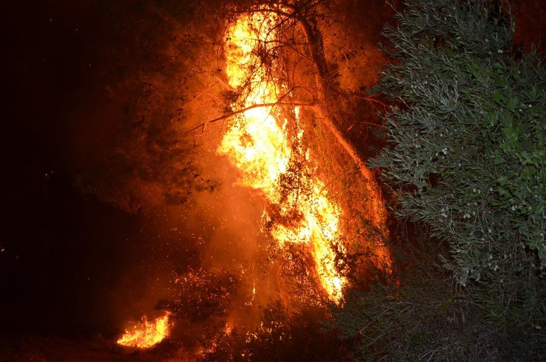 Antalya da orman yangını çıktı! 1 otel tahliye edildi! Hızla müdahale edildi: Antalya Valisi vatandaşları uyardı... 2