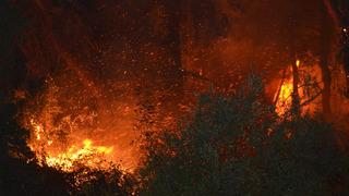 Antalya'da orman yangını çıktı! 1 otel tahliye edildi! Hızla müdahale edildi: Antalya Valisi vatandaşları uyardı...