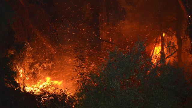 Antalya'da orman yangını çıktı! 1 otel tahliye edildi! Hızla müdahale edildi: Antalya Valisi vatandaşları uyardı...