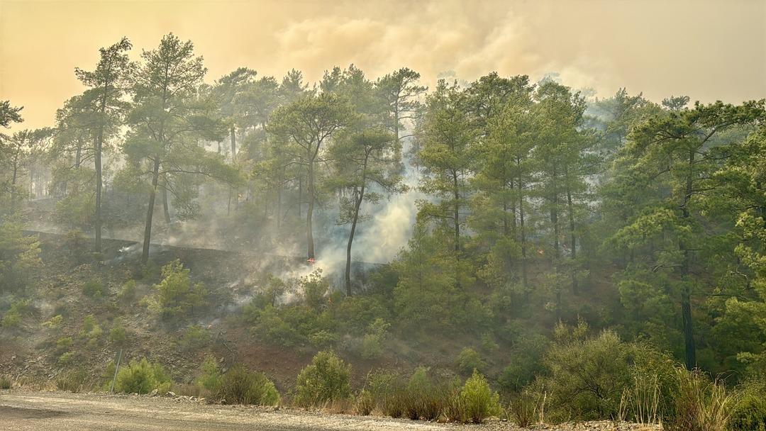 Muğla K&ouml;yceğiz de orman yangını 2. g&uuml;n&uuml;nde! 218 ev boşaltıldı... 4