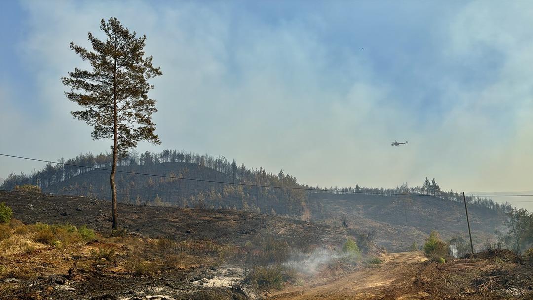 Muğla K&ouml;yceğiz de orman yangını 2. g&uuml;n&uuml;nde! 218 ev boşaltıldı... 3