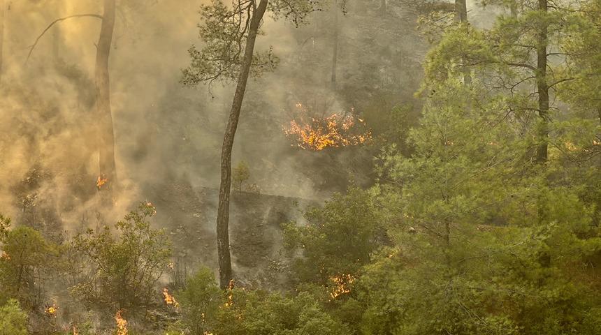 Muğla K&ouml;yceğiz'de orman yangını 2. g&uuml;n&uuml;nde! 218 ev boşaltıldı...
