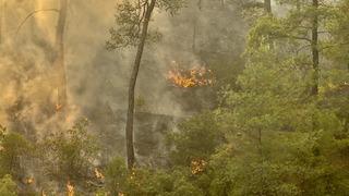 Muğla Köyceğiz'de orman yangını 2. gününde! 218 ev boşaltıldı...