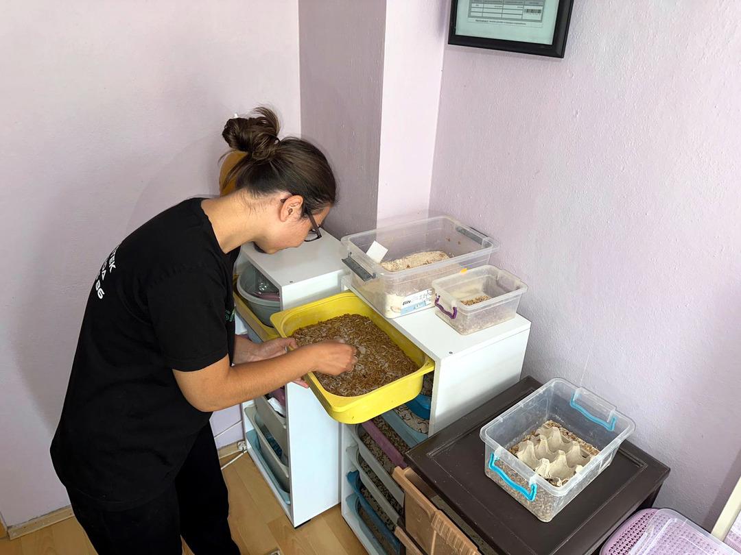 6 yıldır bu işi yapıyor ölümler artınca evinde tesis kurdu  Kargo ile gönderiyor  1
