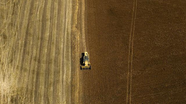 T&uuml;rkiye'de ilk sırada yer alıyor! 7 yılda y&uuml;zde 335 arttı