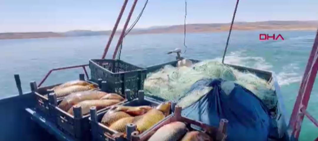 Denizi olmayan şehirde balık tutup ayda 200 bin TL kazanıyor! Kilosunu 90 TL den satıyor 4