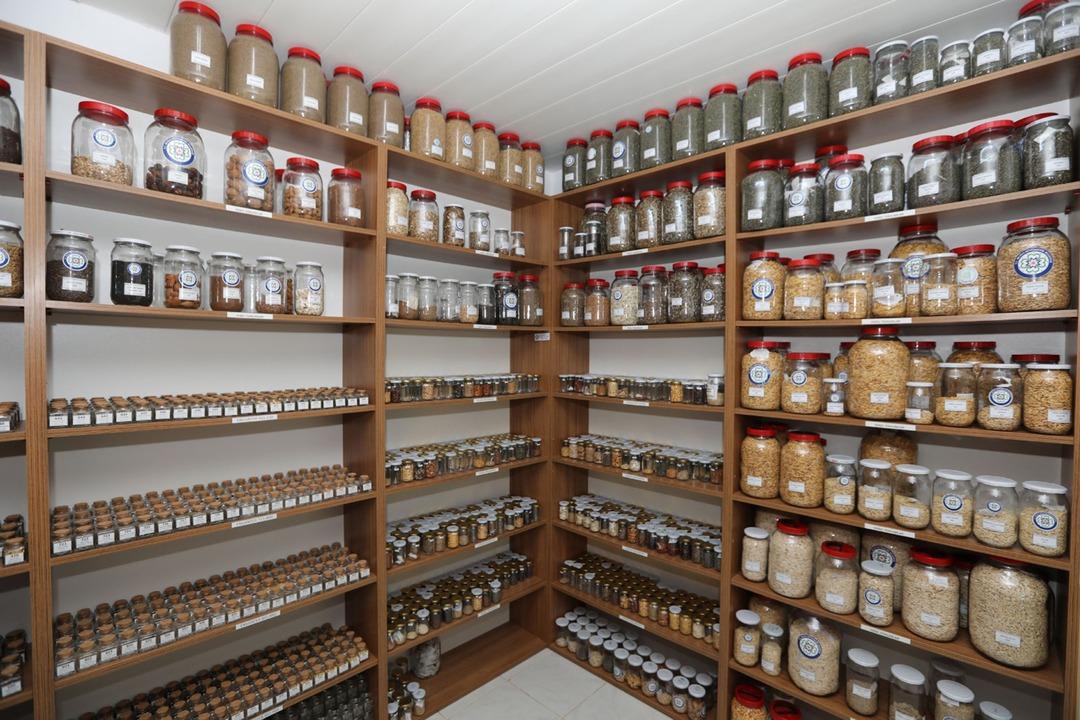 Muğla Büyükşehir Belediyesi nden 2026 hedefi: 4 milyon ata tohumu dağıtılacak 3