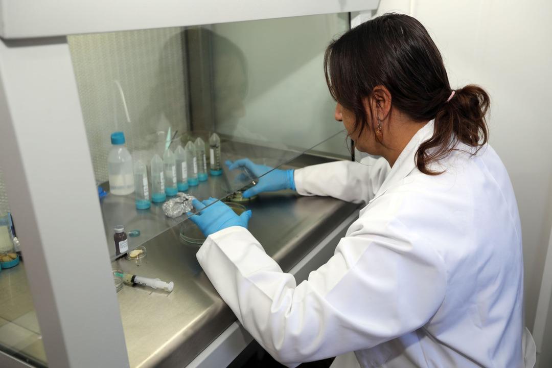 Muğla Büyükşehir Belediyesi nden 2026 hedefi: 4 milyon ata tohumu dağıtılacak 4