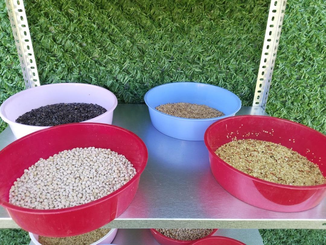 Muğla Büyükşehir Belediyesi nden 2026 hedefi: 4 milyon ata tohumu dağıtılacak 2