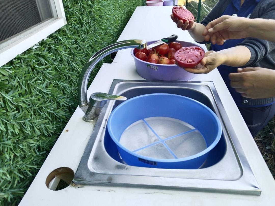 Muğla Büyükşehir Belediyesi nden 2026 hedefi: 4 milyon ata tohumu dağıtılacak 6