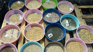 Muğla Büyükşehir Belediyesi'nden 2026 hedefi: 4 milyon ata tohumu dağıtılacak