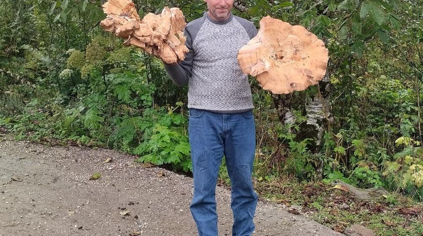 Yer: Ordu! Ailesiyle gezerken fark etti! Görenler hayret etti