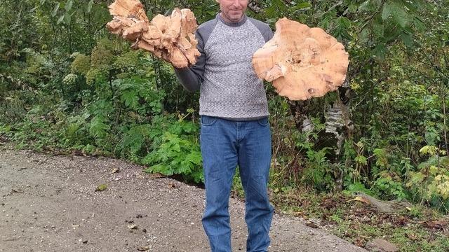 Yer: Ordu! Ailesiyle gezerken fark etti! Görenler hayret etti