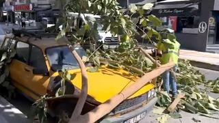 Söke'de ağacın dalı araç üzerine düştü