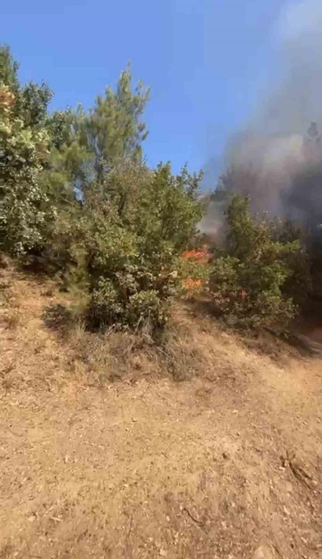 Balıkesir Sındırgı daki orman yangınına müdahale 1