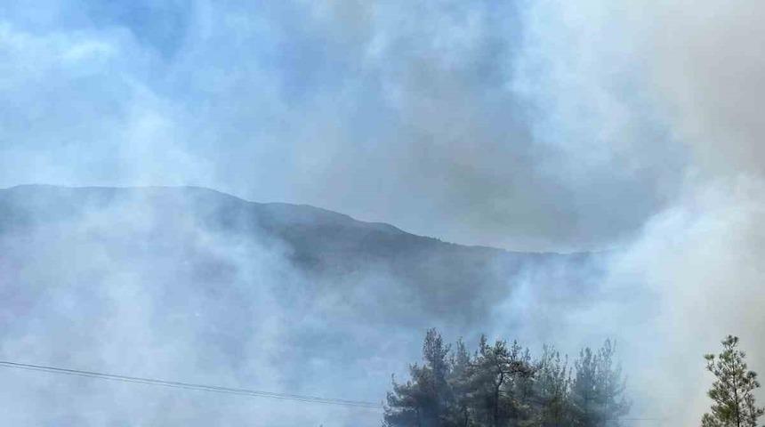 Balıkesir Sındırgı'daki orman yangınına müdahale