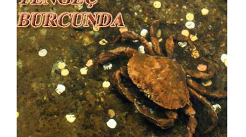 Ven&uuml;s Yenge&ccedil; burcunda