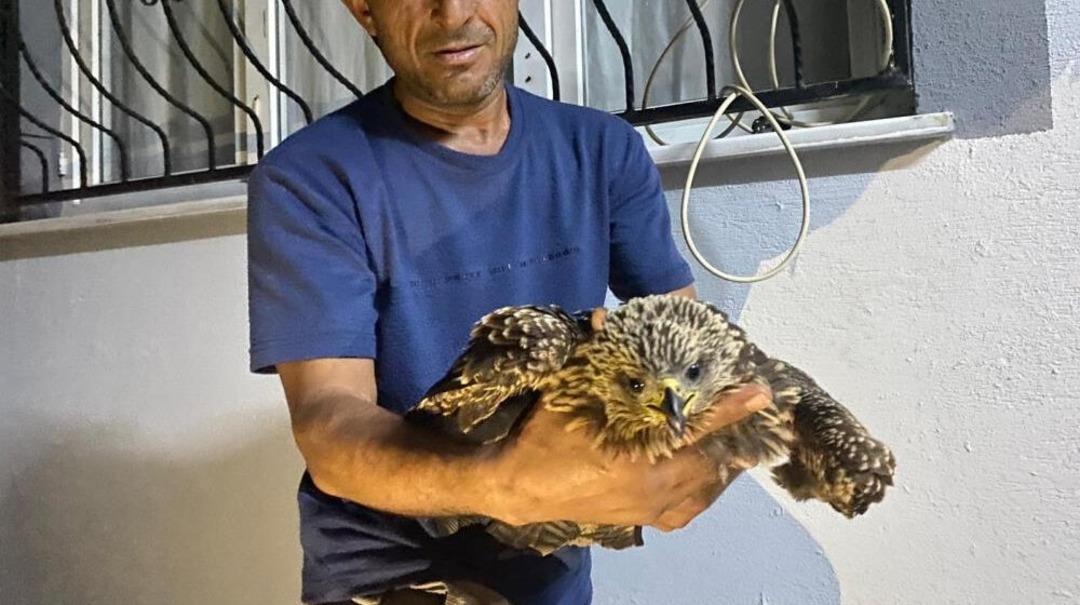 Bitkin halde buldu! Evine götürüp ciğer dürüm söyledi 1