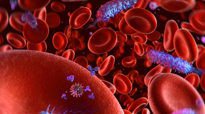 Her 5 ölümden 1'inin sebebi: Sepsis! Kan zehirlenmesi nedir?