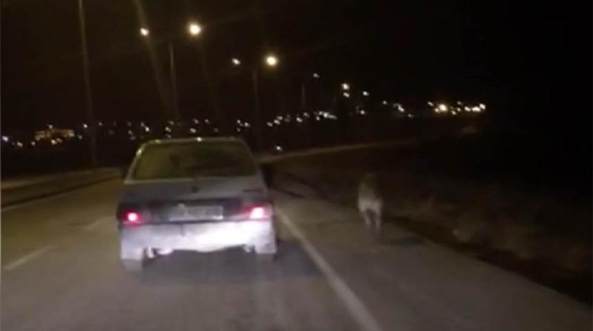 Köpeği bağlayıp aracının yanında koşturdu!